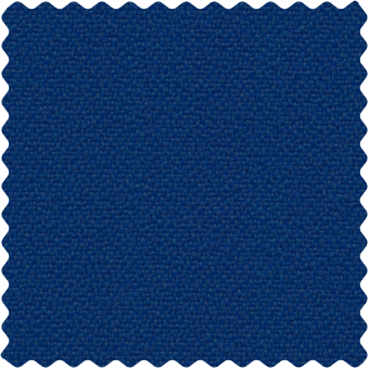 B1S1