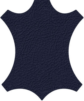B5C1
