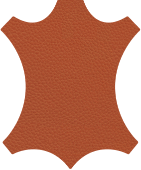 R5C3